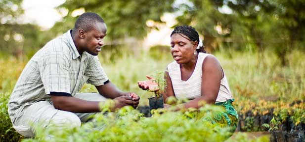 Innocent speaks to a farmer in Malawi