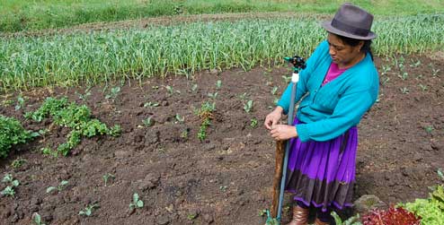 Farmer in field in Ecuador