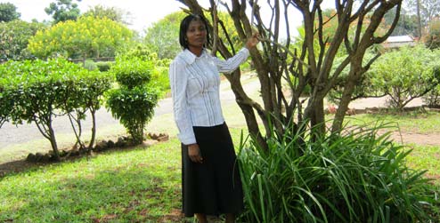Cooperante antigua Irene Betty Banda