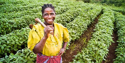 Angelina Ngoza a farmer in Malawi