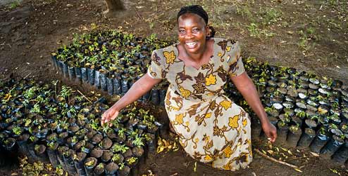 Betty Mkusa a farmer in Malawi