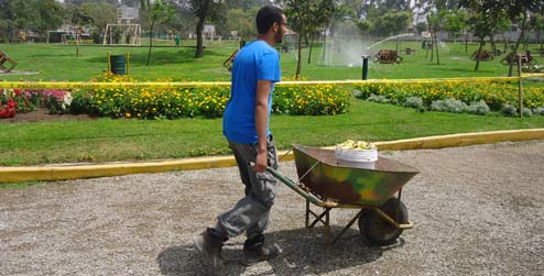 Hussein pushing a wheelbarrow