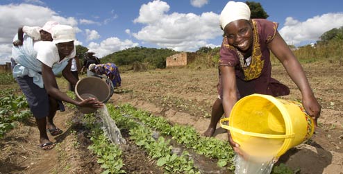 Rural primary care physicians offer insight into rural women's health care