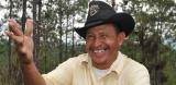 Illegal logging: partners respond logo