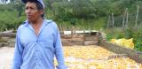 Flooding crops and hope in Honduras logo