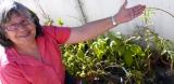 The urban farming revolution logo