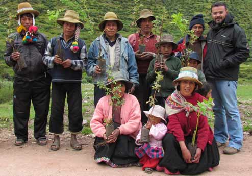 Distribution of saplings for reforestation in Labraco, Pitumarca, Peru