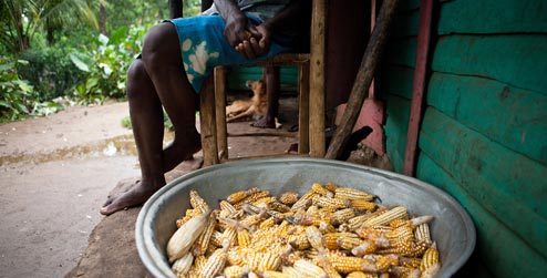 Villager with bowl of corn