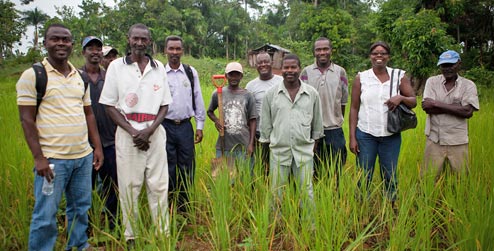 Farmers in a field in Lamine, Haiti