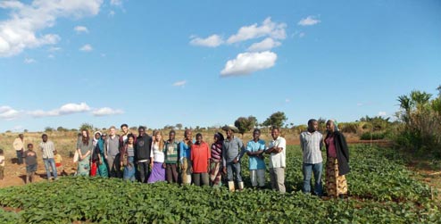 Planting Beans in Phalazi Village