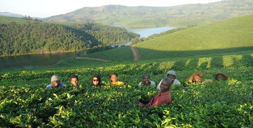 Volunteers in Zimbabwe hills