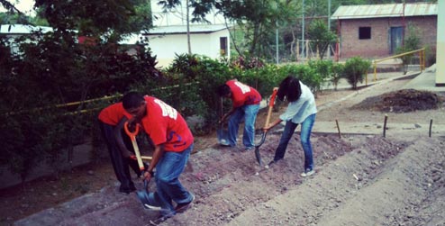 Progressio ICS volunteers digging