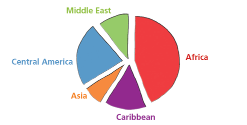 expenditure by region pie chart