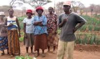 Farmers in community food garden in Zimbabwe