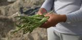 Woman holds bunch of Peruvian Asparagus
