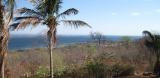 View in Binga