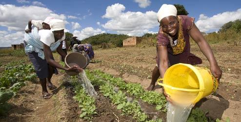 Women farmers water their fields in Wedza, Zimbabwe