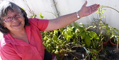 Maritza Arevalo shows off her urban farming