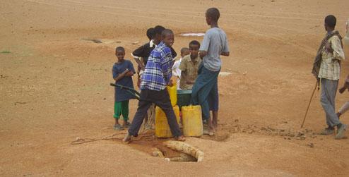 Somaliland: Boys collecting water at water hole