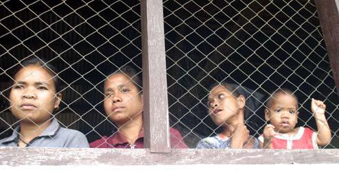 Women look through a wire screen at a window in Timor-Leste