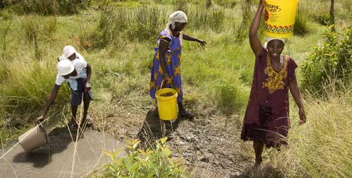 Women farmers in Wedza, Zimbabwe