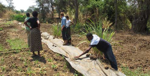 Current ICS volunteers at Luviele irrigation site, a project implemented by the last set of ICS volunteers.