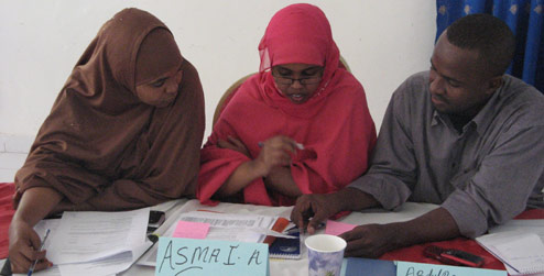Participantes en un taller de la contraparte GAVO en Somalilandia