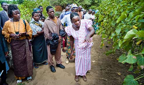 betty mkusa providing tips on growing plants to a group of people