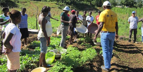 Demonstration garden in Lamine, Haiti