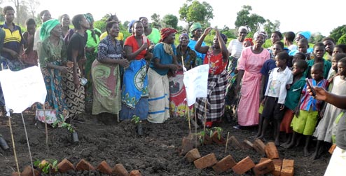 Women celebrate tree planting