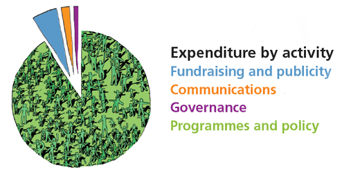 expenditure by activity pie chart