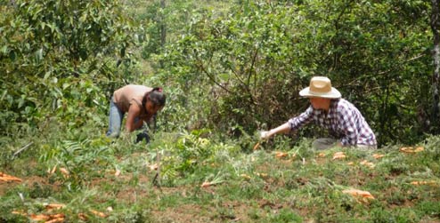 International day of rural women Honduras