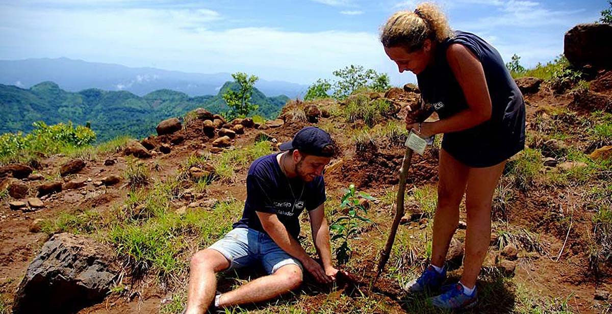 Volunteers planting a tree