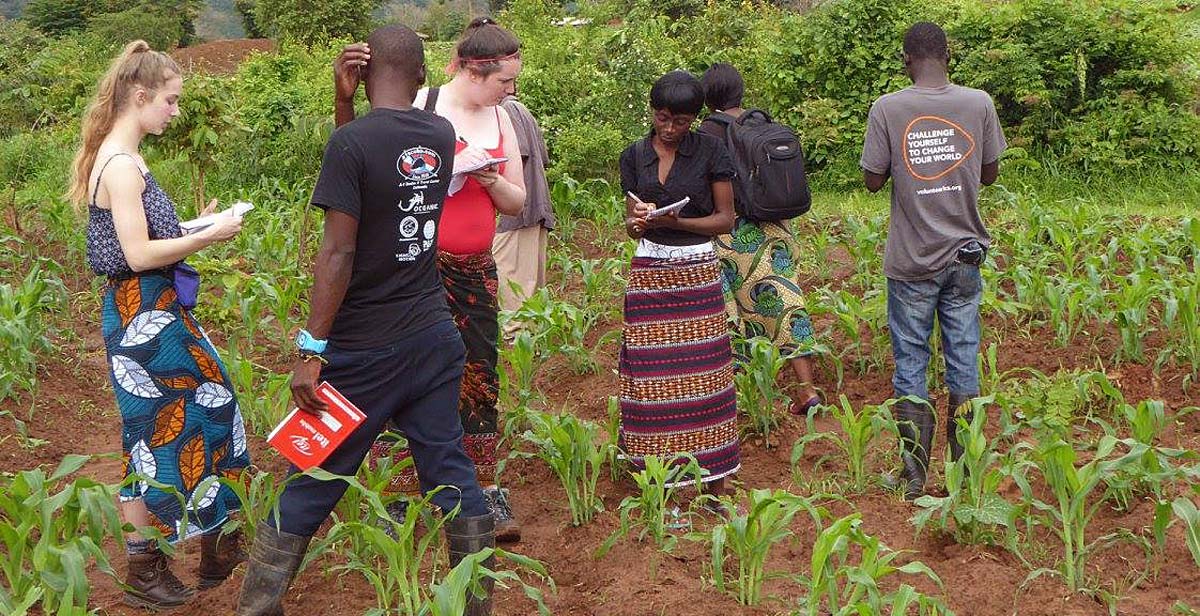 Volunteers at work