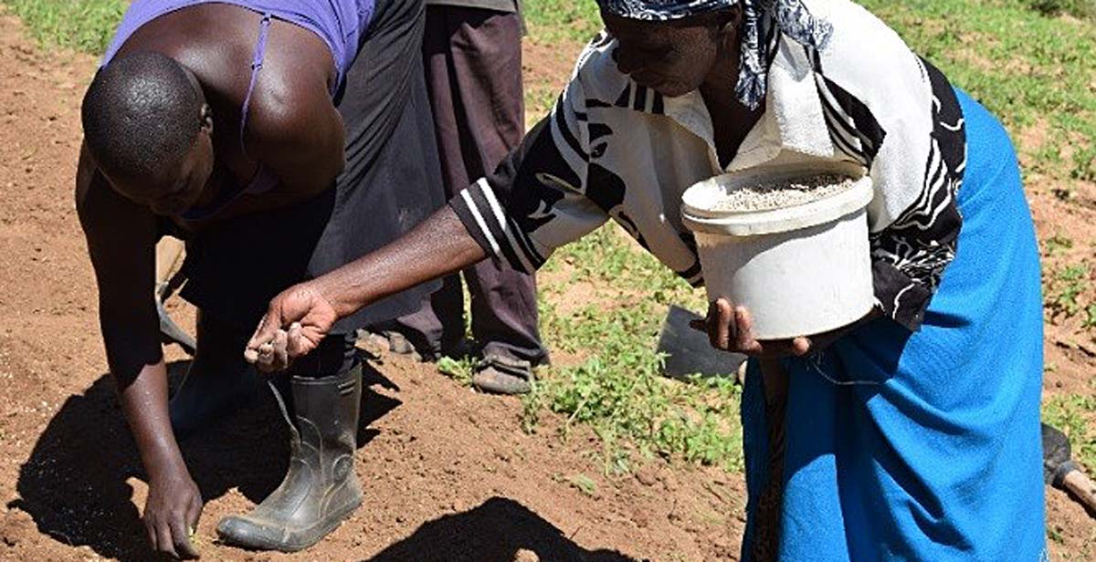 Two of the garden’s beneficiaries sowing seeds