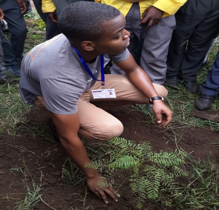 A young man plants a tree