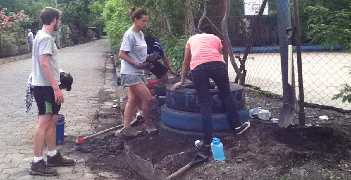 Building the community bins