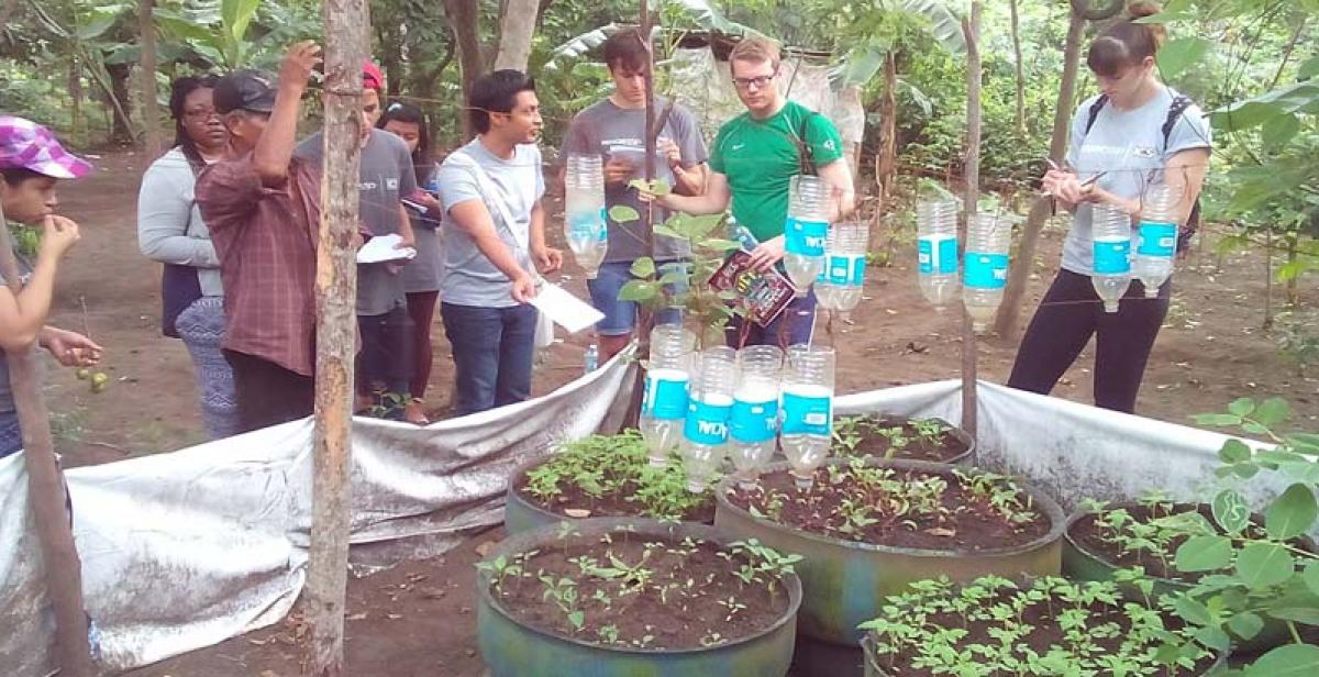 ICS Volunteers visiting a vegetable garden constructed by the previous cycle of volunteers