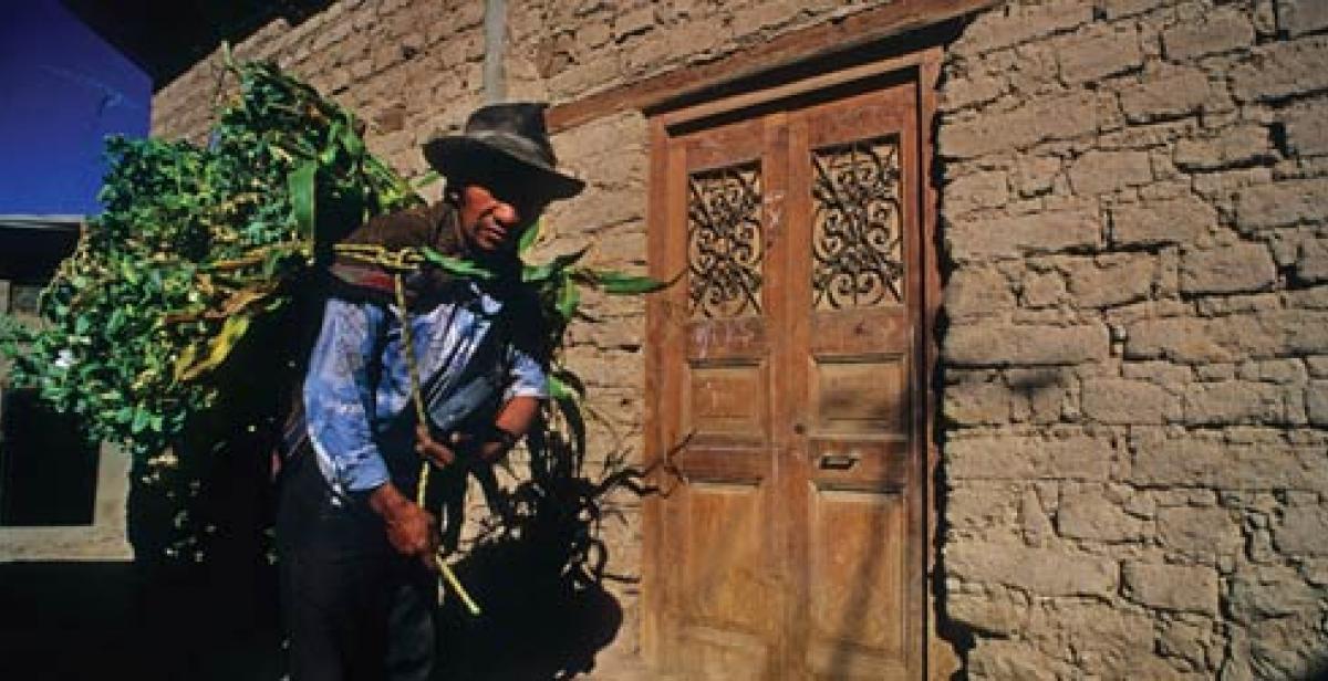 Smallholder farmer near Lima, Peru