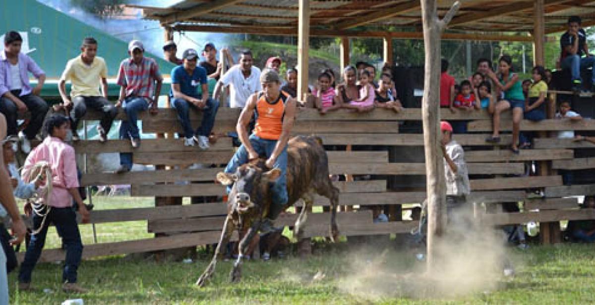 Bull Riding in Nicaragua 