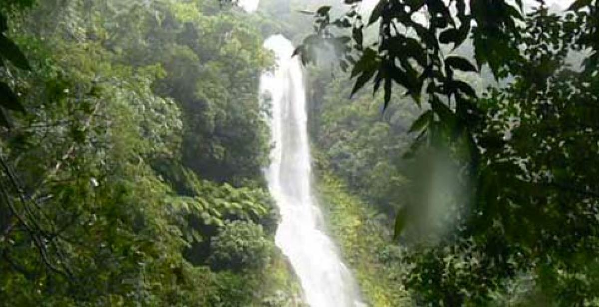 Vine Falls, Honduras.