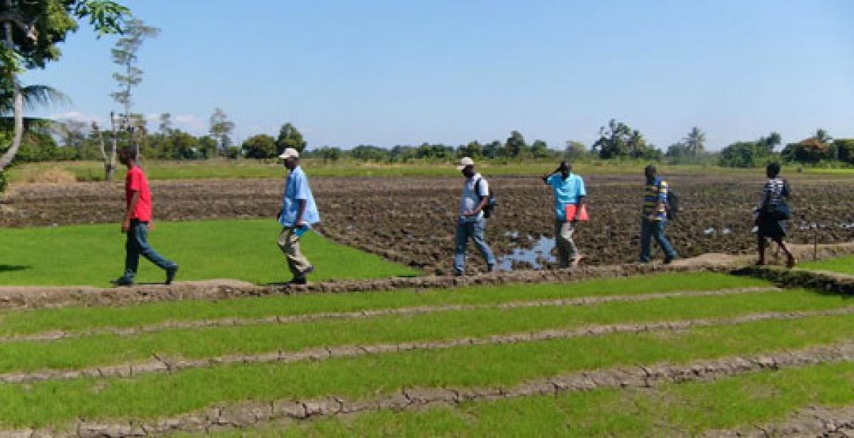 Farmers crossing a field