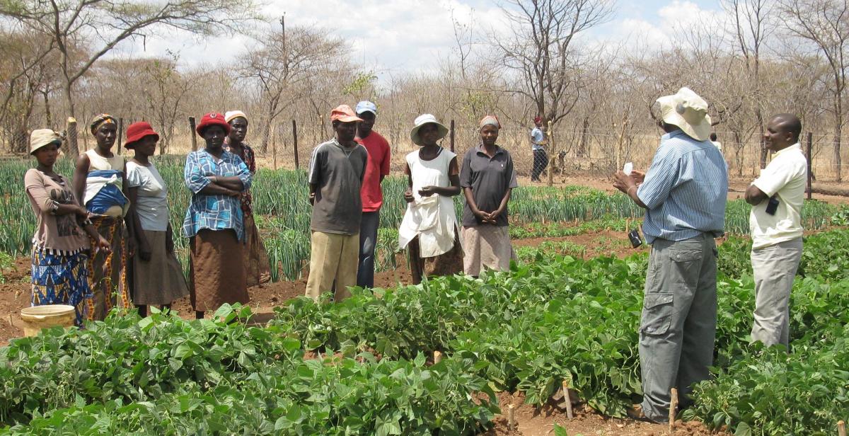 Women take part in an Environment Africa workshop, Zimbabwe