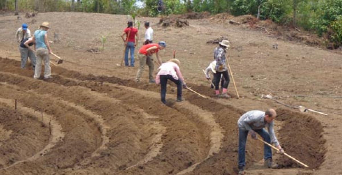 Creating new beds at Adela’s finca