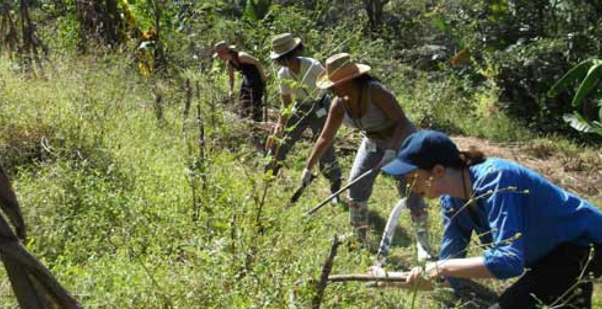 ICS volunteers working hard to help Lorena and her family prepare land for crops