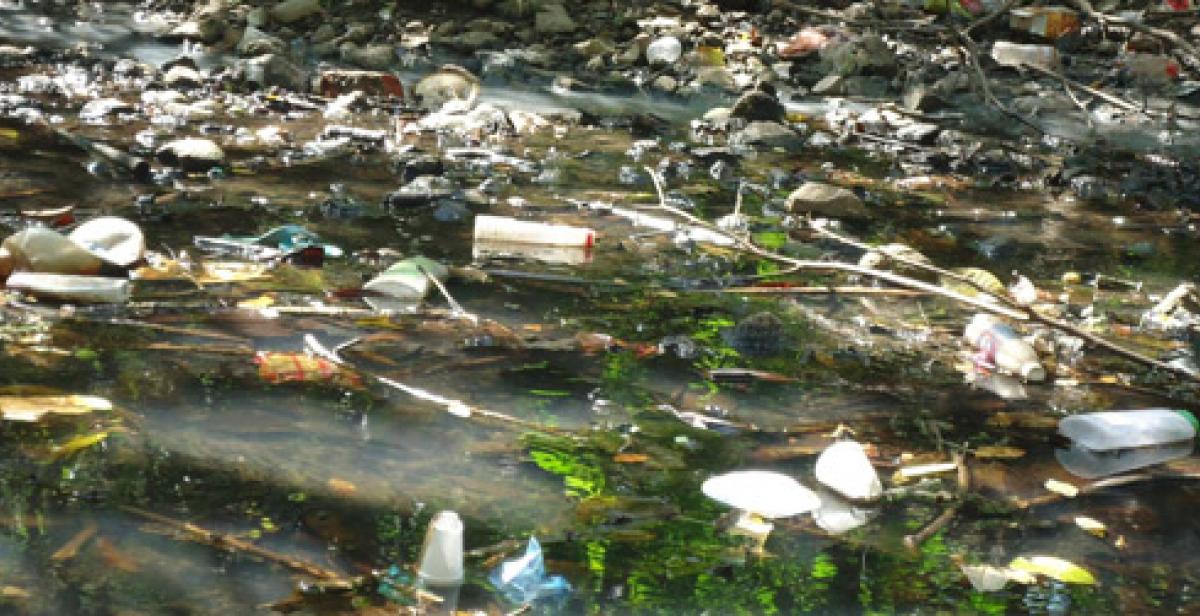 Litter everywhere 2025