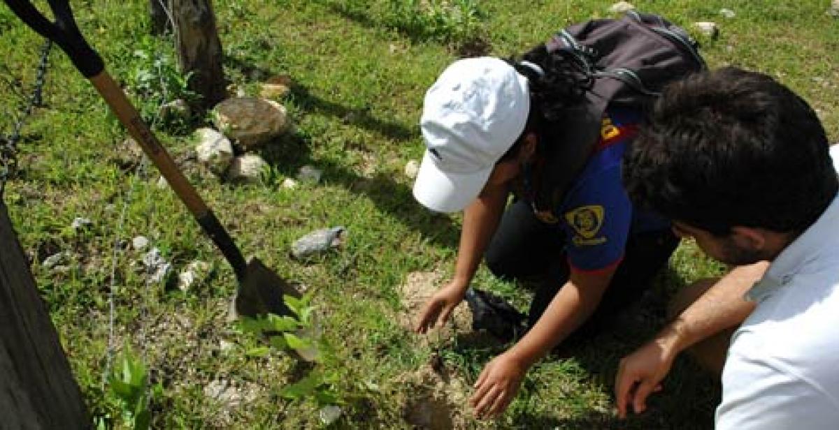 Volunteers working on reforestation in Nicaragua