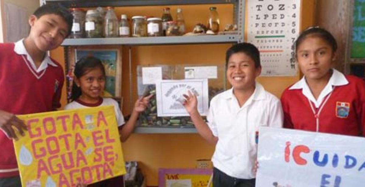 Children in province of Huarochirí, Peru, showing collection of batteries