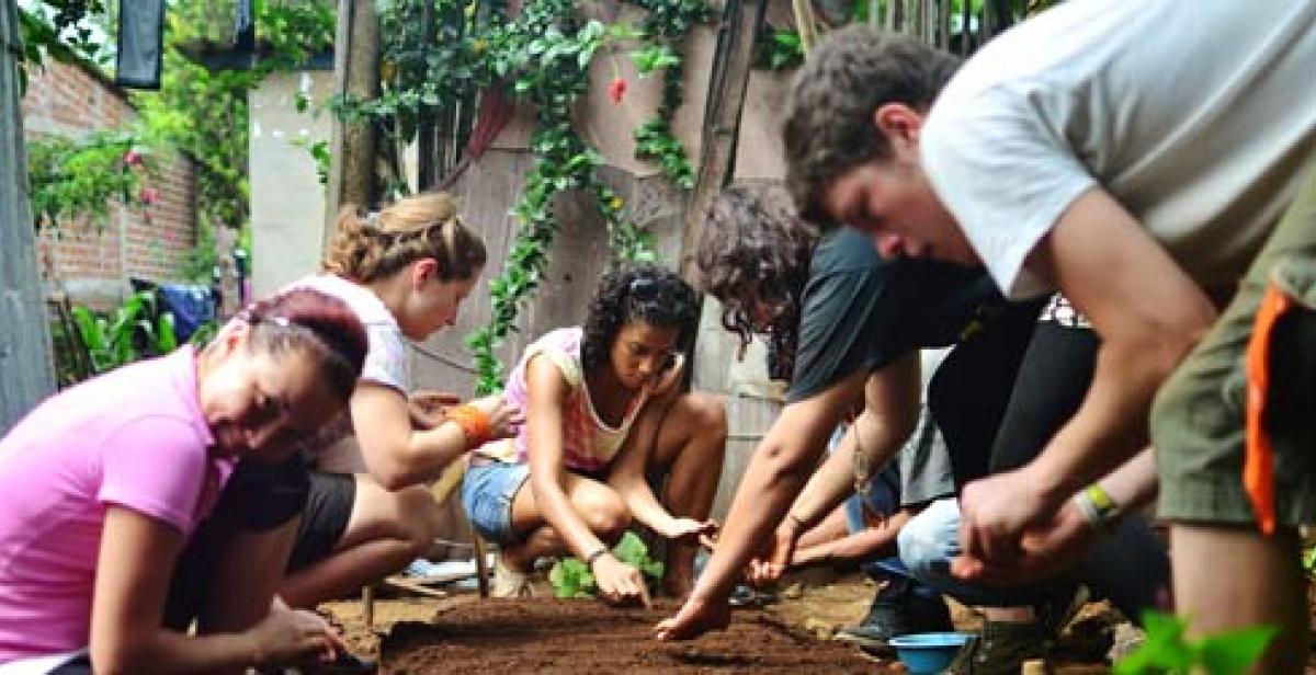 Volunteers planting seeds
