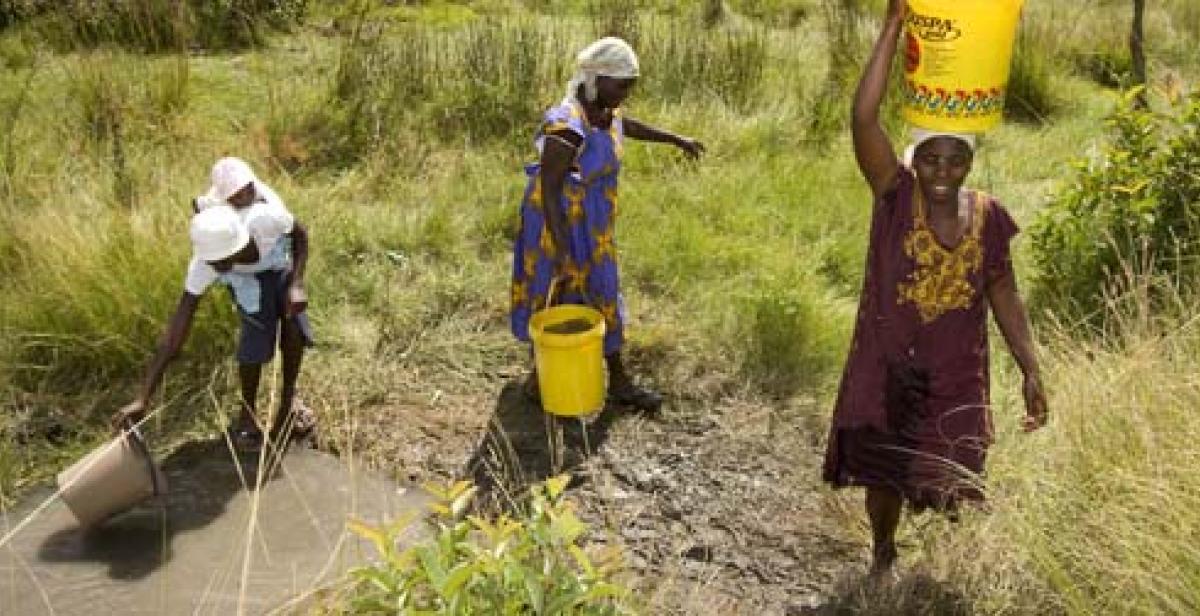 Women farmers in Wedza, Zimbabwe